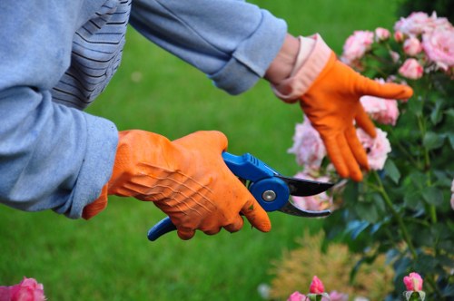 Garden tools on a lawn near Wood Green houses