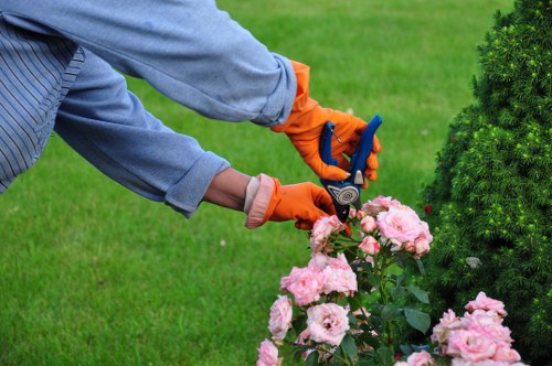 Technician trimming a tall hedge on a Wood Green street