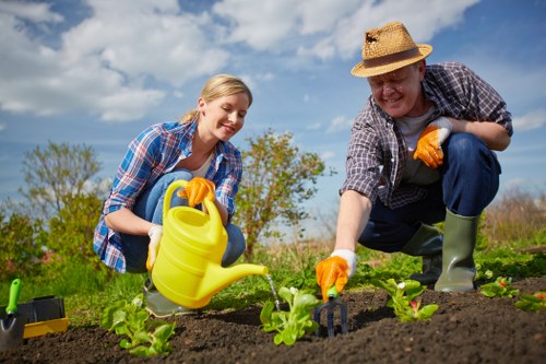 Healthy plants thriving in prepared soil